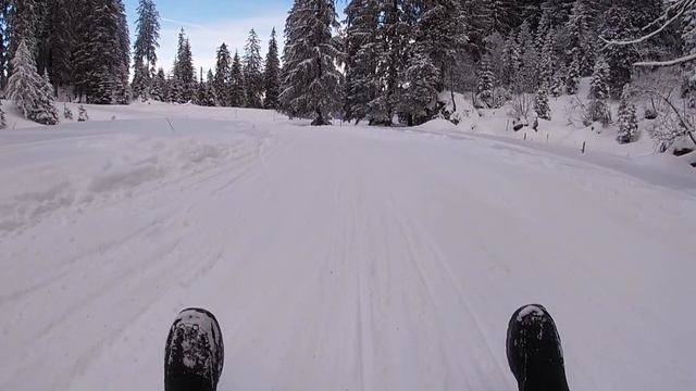 Luge Experience in Charmey.ch|#Sledfirstexperience#snowsport#Candicecattin смотреть онлайн