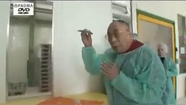 Dalai Lama at PADMA Inc., Zurich, Switzerland смотреть онлайн