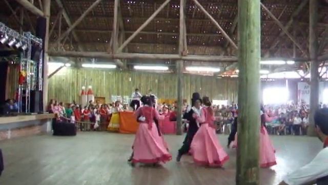 Fenart2011 120.avi