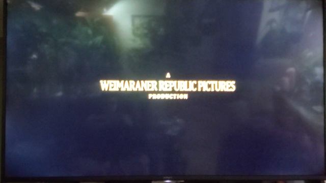 An Anne Fletcher Film/A Weimaraner Republic Pictures Production (2022) смотреть онлайн