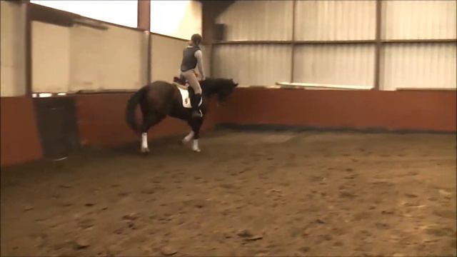 I'm Danciera Vd Biebosschen