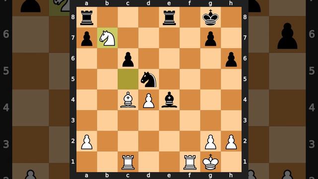 Erich Eliskases-Milan Vidmar, Stuttgart 1939, Result: 1/2-1/2