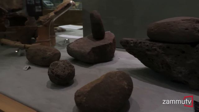 "Vivere nella preistoria: le case, il cibo, le cose" - Chiesa di San Francesco Borgia (Catania) смотреть онлайн