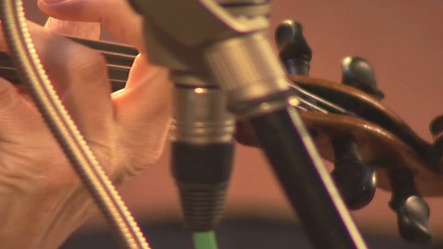 Sangeeta Michael Berardi sings "Mr. P.", his song about Parkinson's смотреть онлайн