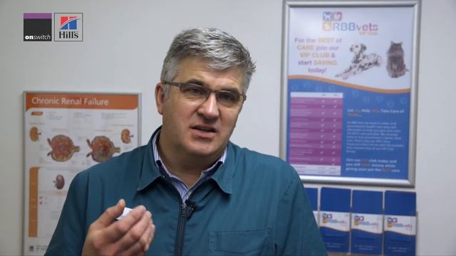 Bruce Barker far from just another pet food day, Interview смотреть онлайн