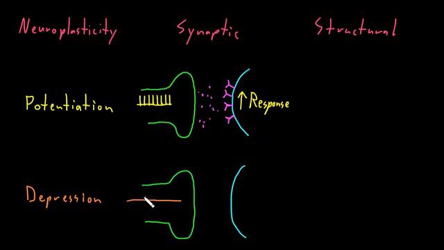 Neuroplasticity | Nervous system physiology | NCLEX-RN | Khan Academy смотреть онлайн