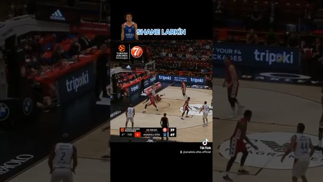 SHANE LARKİN Anadolu Efes basketbol Euroleague basketball İstanbul смотреть онлайн