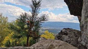 Яндык. День рождения клуба "Твой ход"