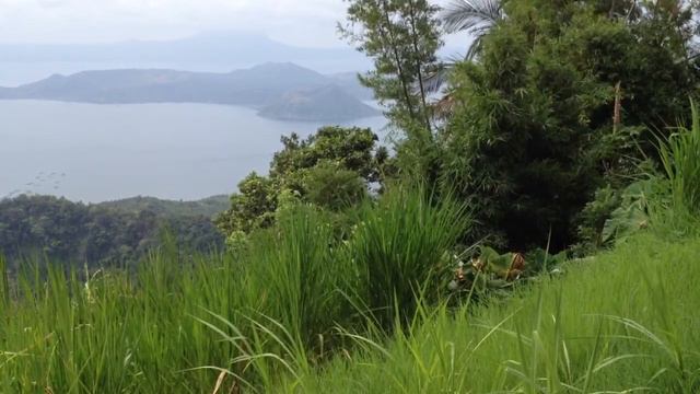 No Love Today (Instrumental Part) By Michelle Phillips (1976)