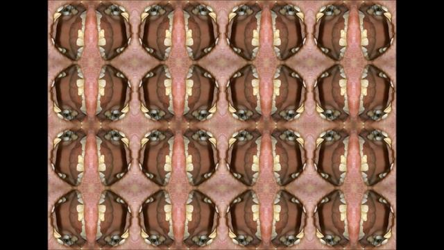 BOETHIUS - Keks isst man nur ab und zu смотреть онлайн