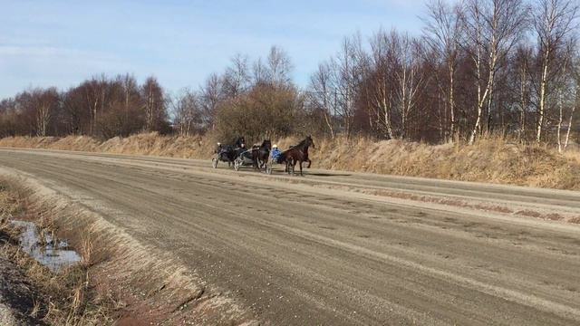 Stall Giuseppe Lubrano - Rakbanan Balltorp 18 Mars 2016 (del 1)