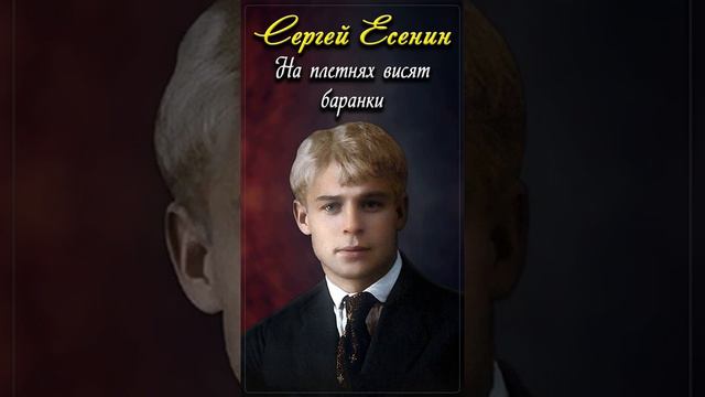 На плетнях висят баранки - Сергей Есенин (читает Расул Давлетов) #shorts смотреть онлайн