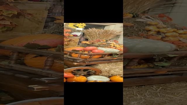 ГУМ осенний урожай 20240919 смотреть онлайн