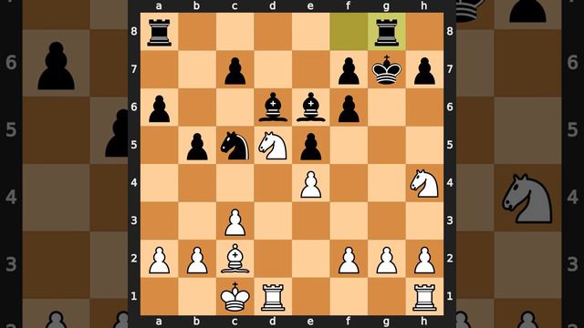 Holger Norman Hansen-Henri Weenink, Hague 1928, Result: 1/2-1/2