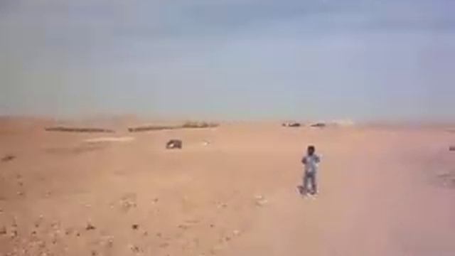 yasin in saudi arabia tumayr