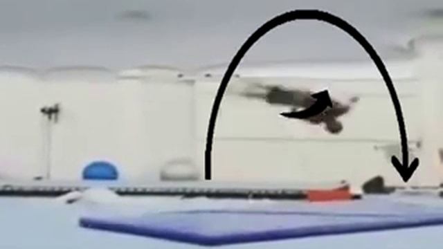 NEW ELEMENT GYMNASTICS 2016 смотреть онлайн