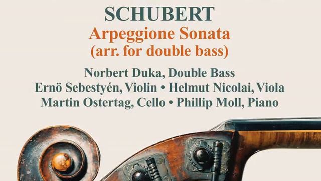 Arpeggione Sonata in A Minor, D. 821 (arr. for double bass and piano) : I. Allegro moderato смотреть онлайн