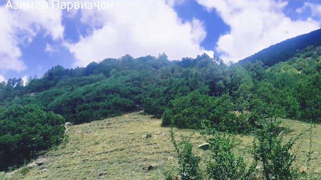 Третий серия. Овчӣ. Таджикистан. н. Деваштич. д. Овчи смотреть онлайн