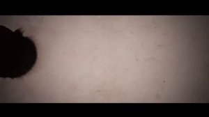 🎥 Убийцы Цветочной Луны (2023)