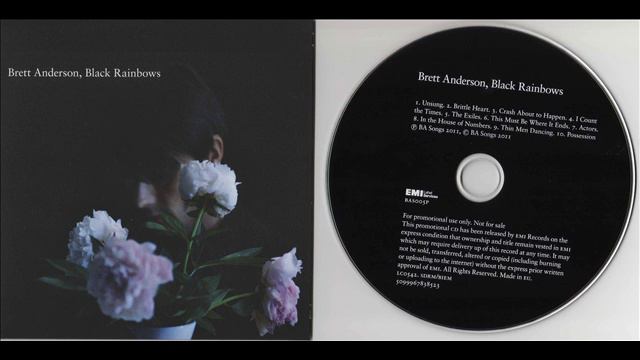 Brett Anderson - Possession