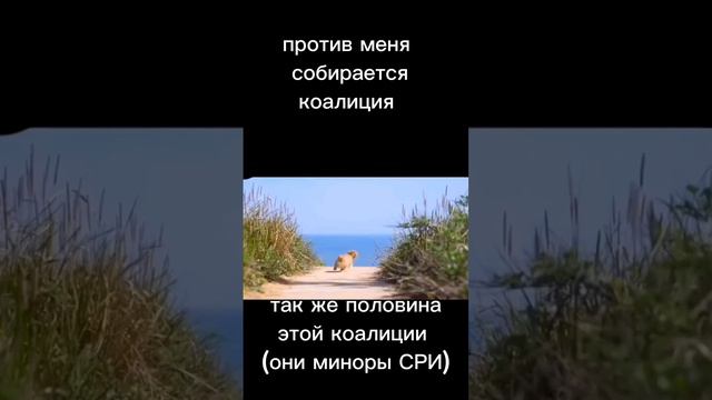 Подпишись пока не забыл #стратегия #стратегии #мем #eu4  #стратегия