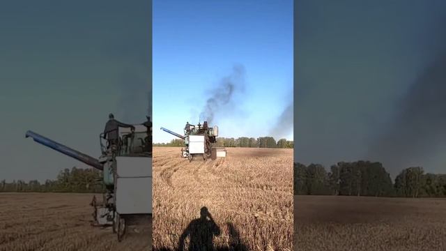 22 сентября 2023 г. смотреть онлайн