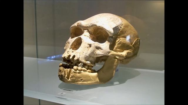 Caune de l'arago смотреть онлайн