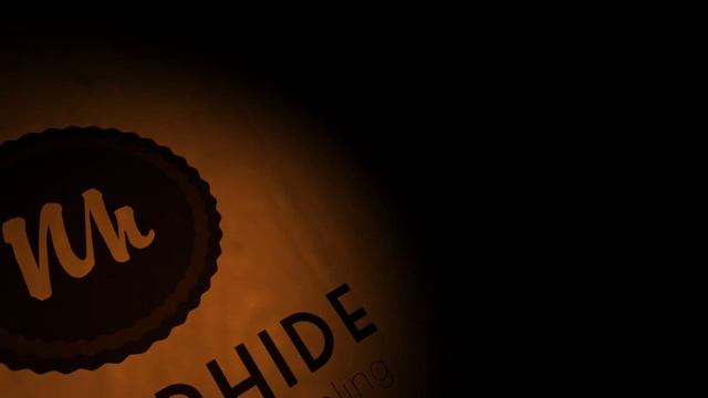 Never Hide смотреть онлайн