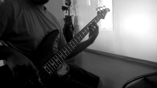 Dominici - Revelation - Bass Cover - Intro смотреть онлайн