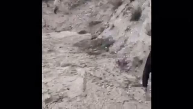 Marco Mariani-Martorella Mr. David Period 7 Spoken Word смотреть онлайн