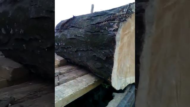 село.крушари