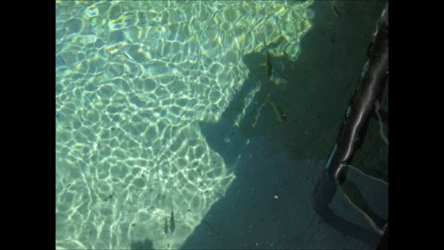 Ponce de Leon Springs State Park, Florida смотреть онлайн