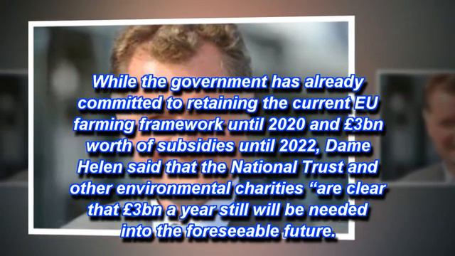 Brexit will cause decade of damaging uncertainty for the environment смотреть онлайн