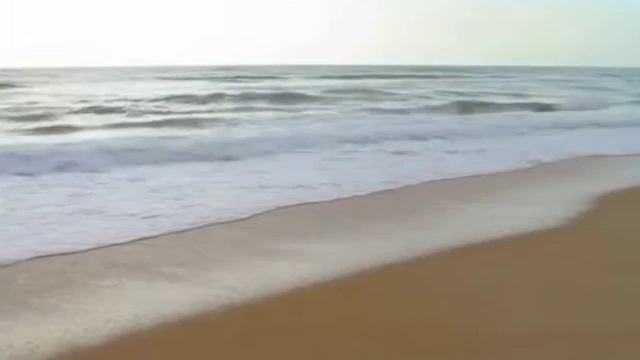 TAN MOM смотреть онлайн