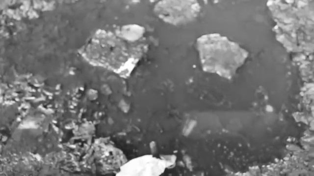 Roller Ballen смотреть онлайн