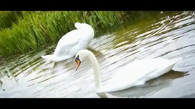 moments of love 30.08.14 смотреть онлайн