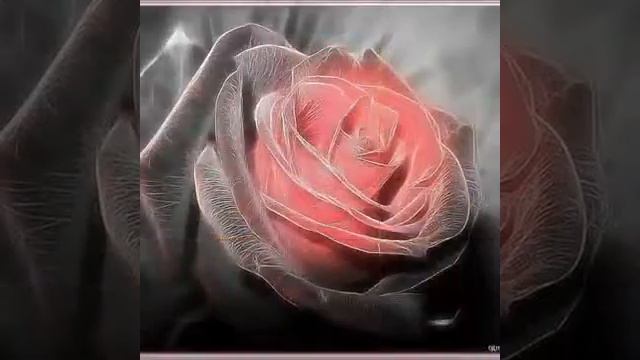 1 декабре что мне отправила бабушка