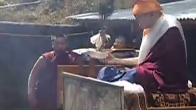 IMGP1260 смотреть онлайн