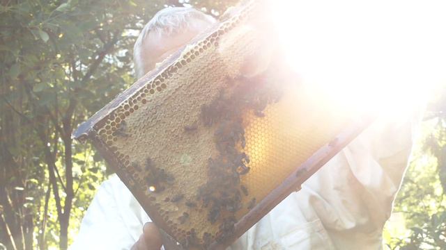 The Brenners Park Hotel Honey Bees