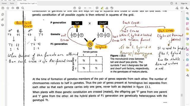 # Classical Genetics: Introduction I L2 Lecture