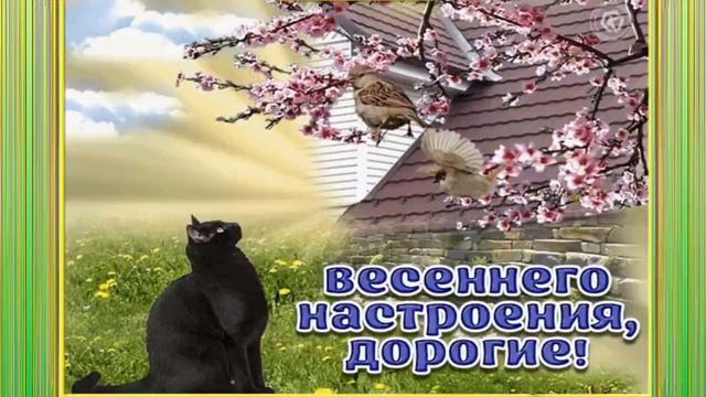 Доброго Дня и Хорошего Настроения! смотреть онлайн