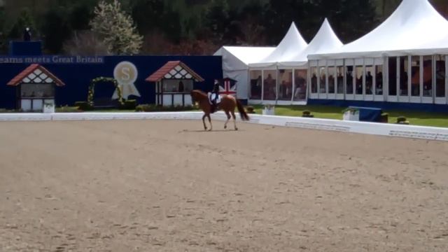 Anabel Balkenhol and Dablino Grand Prix Hagen 2012 смотреть онлайн