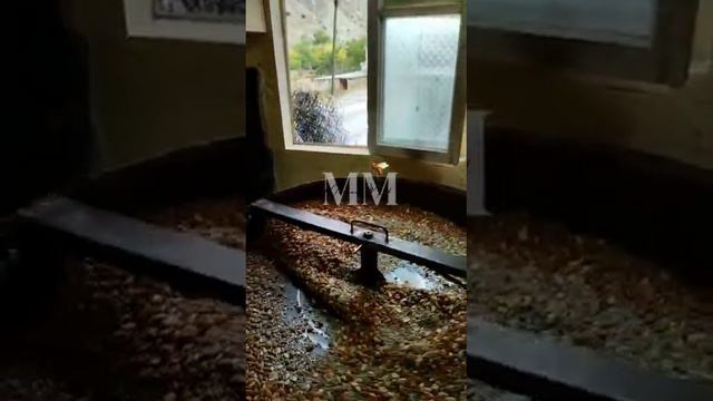 Марьям мёд и урбеч