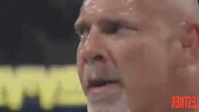 BROK LESTNER Wwe Fighting Erena