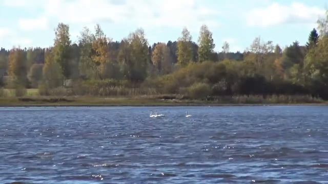 Pentti Tynjälä - Et Voi Palvella Kahta Herraa