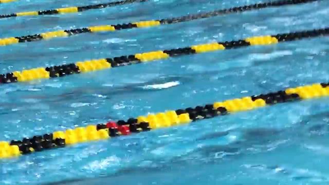 Caeleb Dressel 18.23 in the 50 free смотреть онлайн