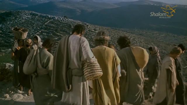 Episode 3 смотреть онлайн