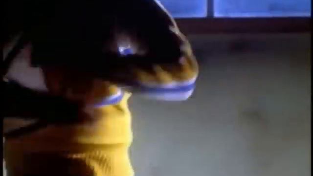 The Steve Harvey Show Season One Opening