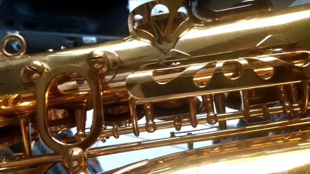 Apresentação do sax alto de Pedro Amorim смотреть онлайн