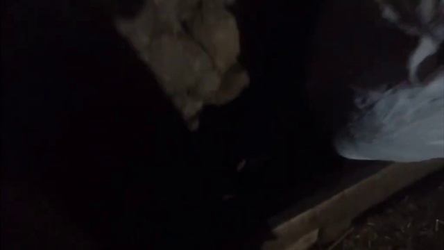 Köyde Durmak Yok Günlük Işler Yapılmıştır..  #vlog